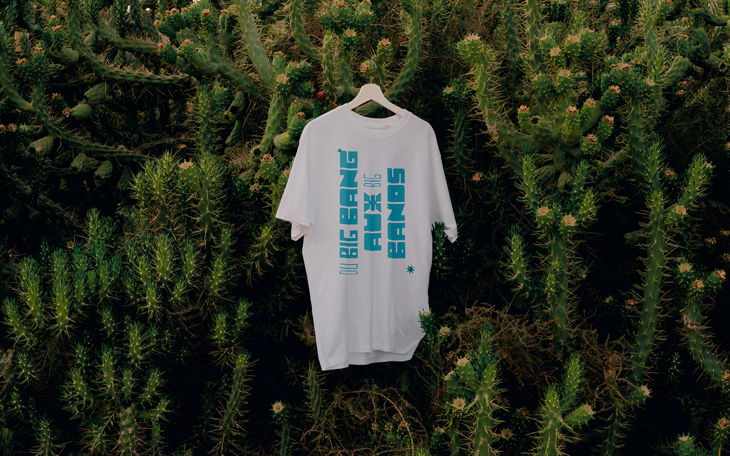 du Big Bang aux Big Bands, communication visuelle de festival