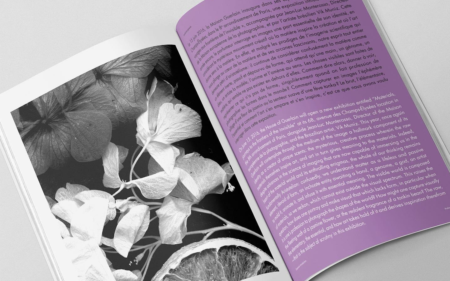 catalogue guerlain à l'occasion de l'expo de Vik Muniz